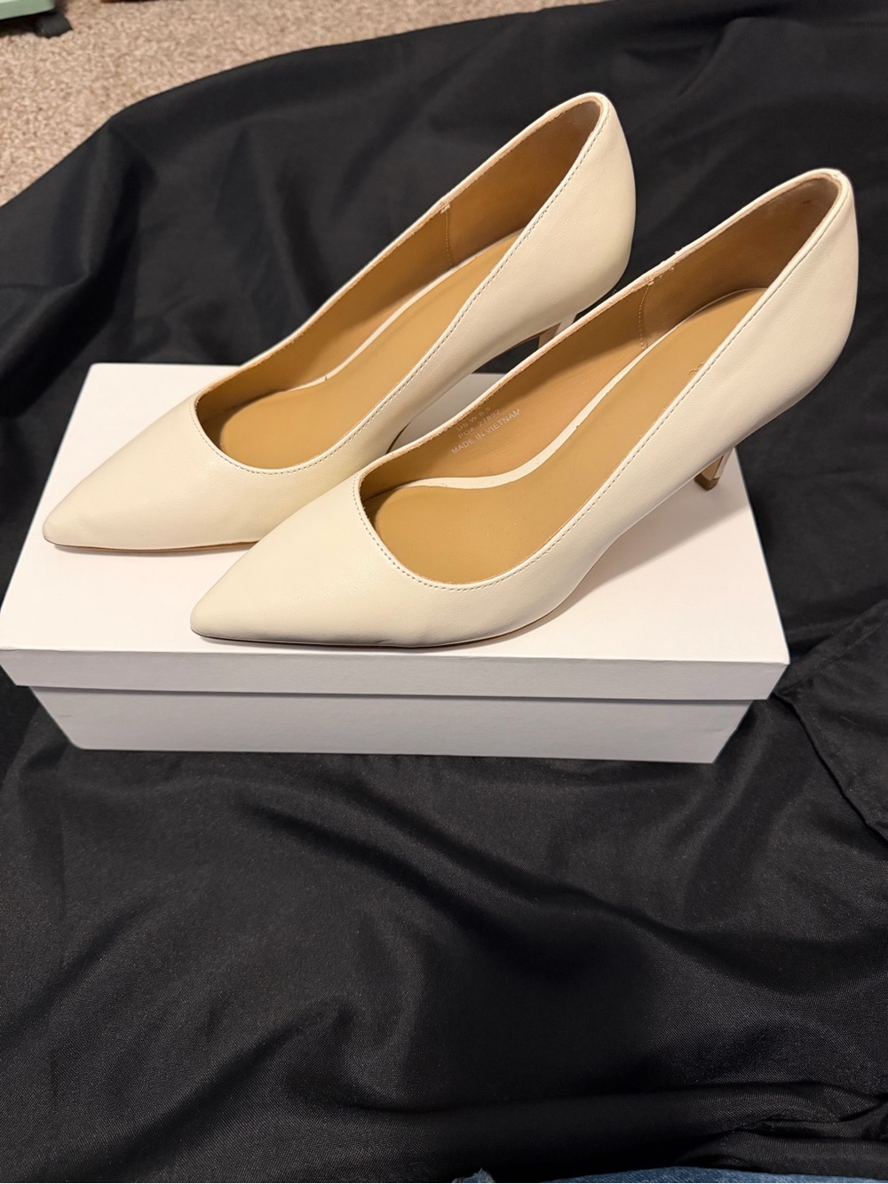 Quince Italian Leather Pointed-Toe Pumps - Bone Color